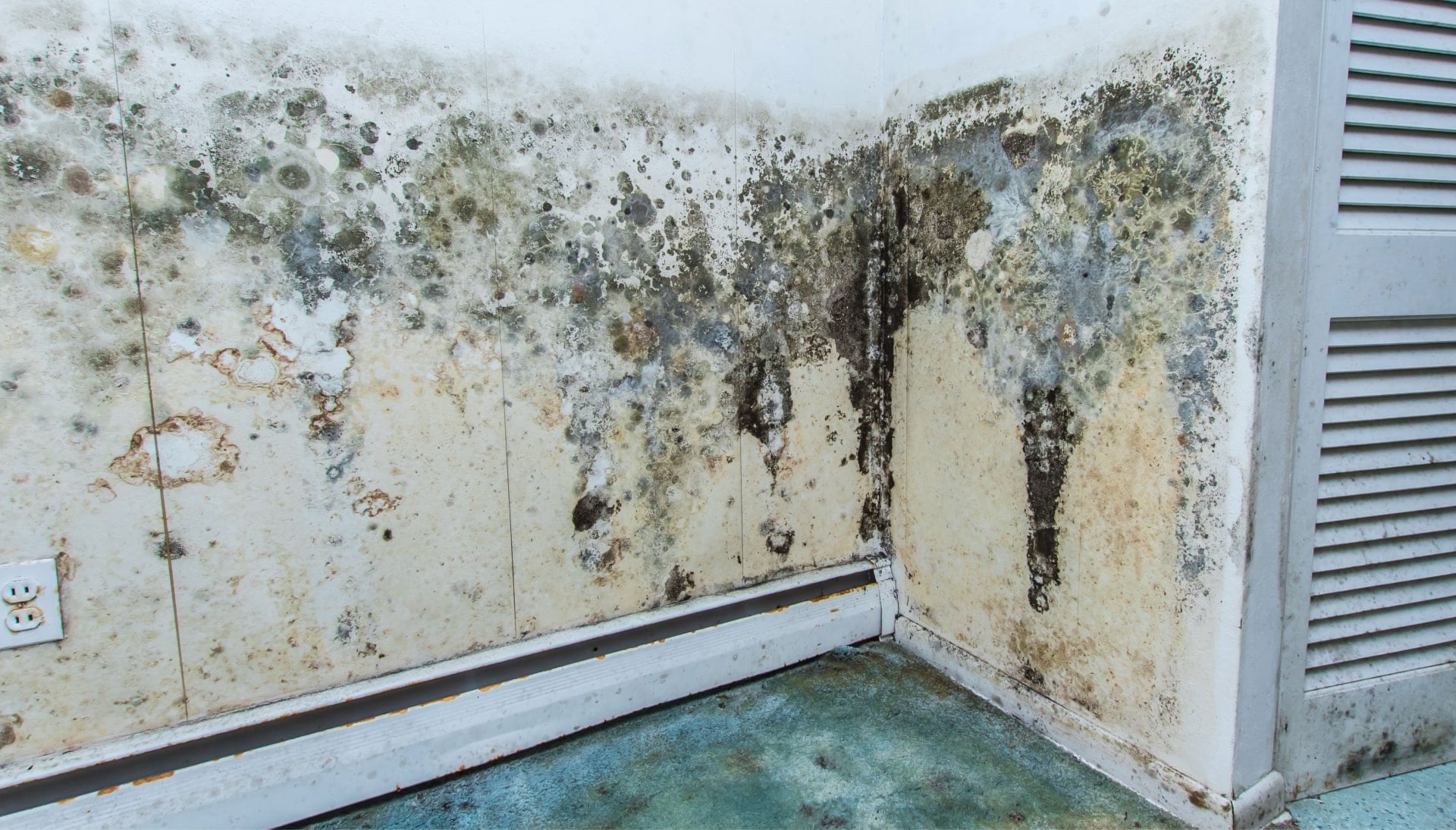 Professional mold removal, odor control, and water damage restoration service in Mesa, Arizona.