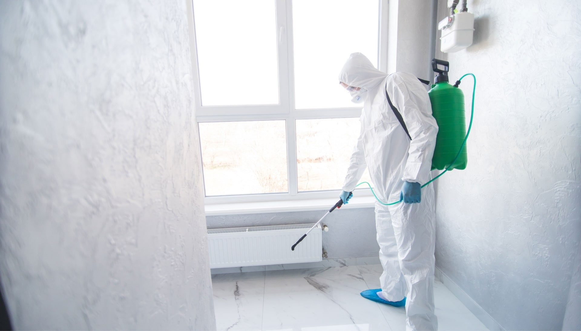 We provide the highest-quality mold inspection, testing, and removal services in the Mesa, Arizona area.